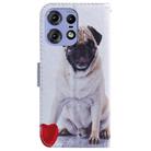 For Motorola Edge 50 Pro Coloured Drawing Flip Leather Phone Case(Pug) - 3