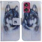 For Motorola Edge 50 Fusion Coloured Drawing Flip Leather Phone Case(White Wolf) - 1