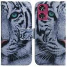 For Motorola Edge 50 Fusion Coloured Drawing Flip Leather Phone Case(Tiger) - 1