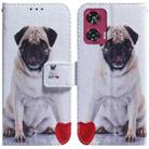 For Motorola Edge 50 Fusion Coloured Drawing Flip Leather Phone Case(Pug) - 1