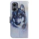 For Motorola Edge 2024 Coloured Drawing Flip Leather Phone Case(White Wolf) - 3