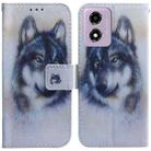 For Motorola Moto G04s / Moto E14 Coloured Drawing Flip Leather Phone Case(White Wolf) - 1