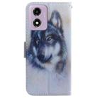 For Motorola Moto G04s / Moto E14 Coloured Drawing Flip Leather Phone Case(White Wolf) - 3