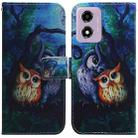 For Motorola Moto G04s / Moto E14 Coloured Drawing Flip Leather Phone Case(Oil Painting Owl) - 1