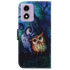 For Motorola Moto G04s / Moto E14 Coloured Drawing Flip Leather Phone Case(Oil Painting Owl) - 3