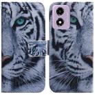 For Motorola Moto G04s / Moto E14 Coloured Drawing Flip Leather Phone Case(Tiger) - 1