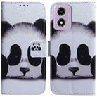 For Motorola Moto G04s / Moto E14 Coloured Drawing Flip Leather Phone Case(Panda) - 1