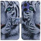 For Motorola Moto G85 Coloured Drawing Flip Leather Phone Case(Tiger) - 1