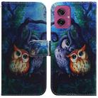 For Motorola Moto G55 Coloured Drawing Flip Leather Phone Case(Oil Painting Owl) - 1