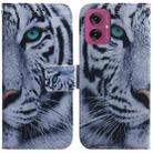 For Motorola Moto G55 Coloured Drawing Flip Leather Phone Case(Tiger) - 1