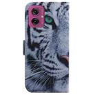 For Motorola Moto G55 Coloured Drawing Flip Leather Phone Case(Tiger) - 3