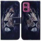 For Motorola Moto G55 Coloured Drawing Flip Leather Phone Case(Lion) - 1