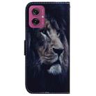 For Motorola Moto G55 Coloured Drawing Flip Leather Phone Case(Lion) - 3