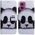 For Motorola Moto G55 Coloured Drawing Flip Leather Phone Case(Panda) - 1