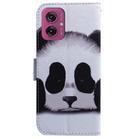 For Motorola Moto G55 Coloured Drawing Flip Leather Phone Case(Panda) - 3