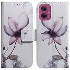 For Motorola Moto G55 Coloured Drawing Flip Leather Phone Case(Magnolia) - 1