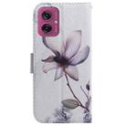 For Motorola Moto G55 Coloured Drawing Flip Leather Phone Case(Magnolia) - 3