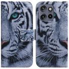 For Motorola Edge 50 Neo 5G Global Coloured Drawing Flip Leather Phone Case(Tiger) - 1