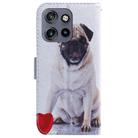 For Motorola Edge 50 Neo 5G Global Coloured Drawing Flip Leather Phone Case(Pug) - 3