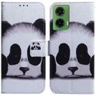 For Motorola Moto G35 Coloured Drawing Flip Leather Phone Case(Panda) - 1