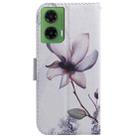 For Motorola Moto G35 Coloured Drawing Flip Leather Phone Case(Magnolia) - 3