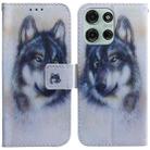 For Motorola Moto G75 5G Coloured Drawing Flip Leather Phone Case(White Wolf) - 1