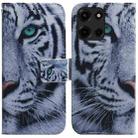For Motorola Moto G 5G 2025 Coloured Drawing Flip Leather Phone Case(Tiger) - 1
