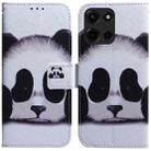 For Motorola Moto G 5G 2025 Coloured Drawing Flip Leather Phone Case(Panda) - 1