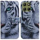 For Motorola Moto G15 Coloured Drawing Flip Leather Phone Case(Tiger) - 1