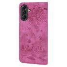 For Samsung Galaxy A56 / A36 Cartoon Sakura Cat Embossed Leather Phone Case(Rose Red) - 3