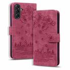 For Samsung Galaxy A56 / A36 Cartoon Sakura Cat Embossed Leather Phone Case(Wine Red) - 1