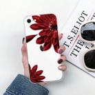 For iPhone SE 2022 / SE 2020 / 8 / 7 Pattern TPU Protective Case(Red Flower) - 2