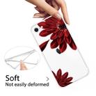 For iPhone SE 2022 / SE 2020 / 8 / 7 Pattern TPU Protective Case(Red Flower) - 5