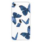For iPhone SE 2022 / SE 2020 / 8 / 7 Pattern TPU Protective Case(Blue Butterfly) - 1