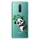 For OnePlus 8 Shockproof Painted Transparent TPU Protective Case(Panda Climbing Bamboo) - 1