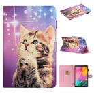 For Samsung Galaxy Tab A 10.1 (2019) T515 / T510 Colored Drawing Pattern Horizontal Flip PU Leather Case with Holder & Card Slot(Starry Cat) - 1
