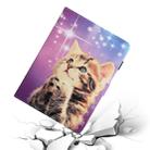 For Samsung Galaxy Tab A 10.1 (2019) T515 / T510 Colored Drawing Pattern Horizontal Flip PU Leather Case with Holder & Card Slot(Starry Cat) - 7