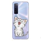 For Huawei nova 7 5G Shockproof Painted TPU Protective Case(Laughing Cat) - 1