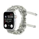 For Apple Watch SE 2023 40mm Silk Silver Beads Braided Watch Band(Grey) - 1