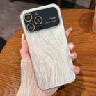 For iPhone 14 Pro Max Wood Grain Large Window Electroplated + Acrylic Phone Case(Silver) - 1