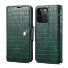 For iPhone 15 Pro Max Denior Crocodile Texture Oil Edge Leather Phone Case(Green) - 1