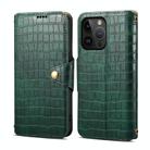 For iPhone 15 Pro Denior Crocodile Texture Oil Edge Leather Phone Case(Green) - 1