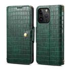 For iPhone 12 Pro Max Denior Crocodile Texture Oil Edge Leather Phone Case(Green) - 1