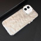 For iPhone 12 3D IMD Water Ripple TPU + Acrylic Electroplated Phone Case(Silver) - 1