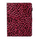 For iPad Pro 11 (2020) Colored Drawing Pattern Horizontal Flip PU Leather Tablet Case with Holder & Card Slot & Sleep / Wake-up Function(Red Pink Leopard) - 1