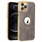 For iPhone 12 Pro Electroplated Leather Texture PU + PC Phone Case(Grey) - 1