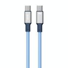 WK WDC-17 100W USB-C/Type-C to USB-C/Type-C Silicone Data Cable, Length: 1.2m(Blue) - 1