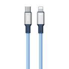 WK WDC-17 PD 20W USB-C/Type-C to 8 Pin Silicone Data Cable, Length: 1.2m(Blue) - 1
