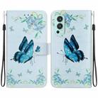 For OnePlus Nord 2 5G Crystal Texture Colored Drawing Leather Phone Case(Blue Pansies) - 1