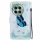 For OnePlus Ace 3 Pro Crystal Texture Colored Drawing Leather Phone Case(Blue Pansies) - 3